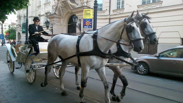 Bratislava — 9