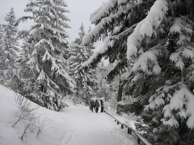 Hohe Tatra — 8