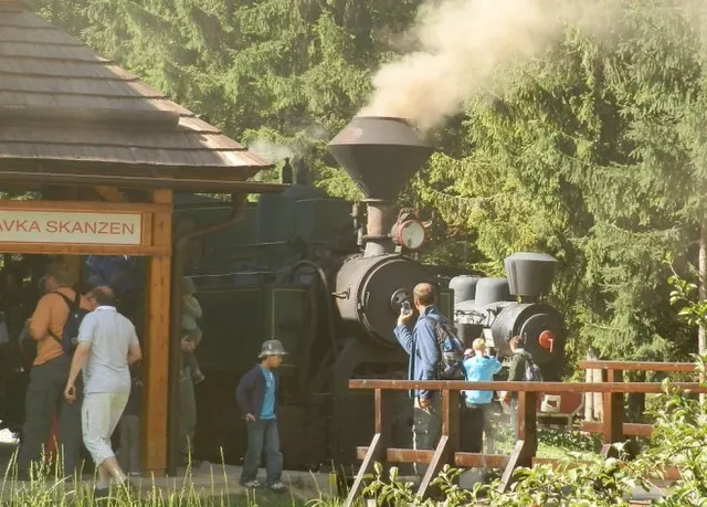 Carpathian tour with a steam train — 3