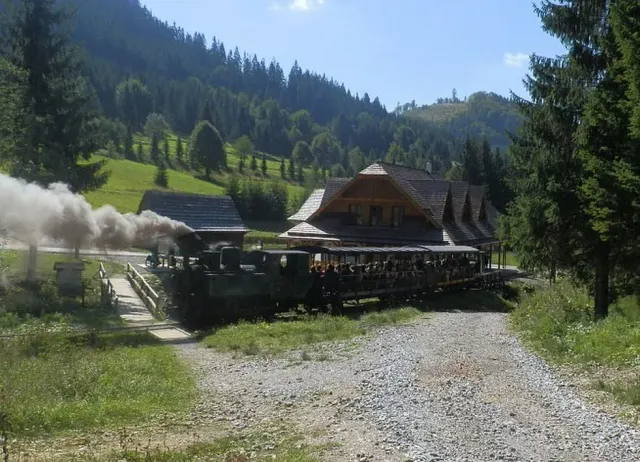 Carpathian tour with a steam train — 4
