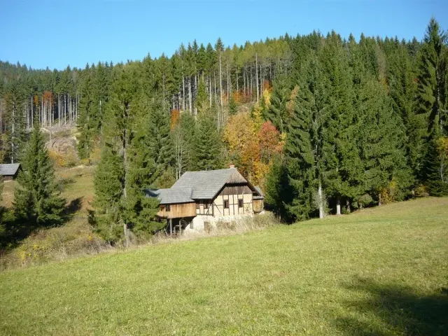 Carpathian tour with a steam train — 5